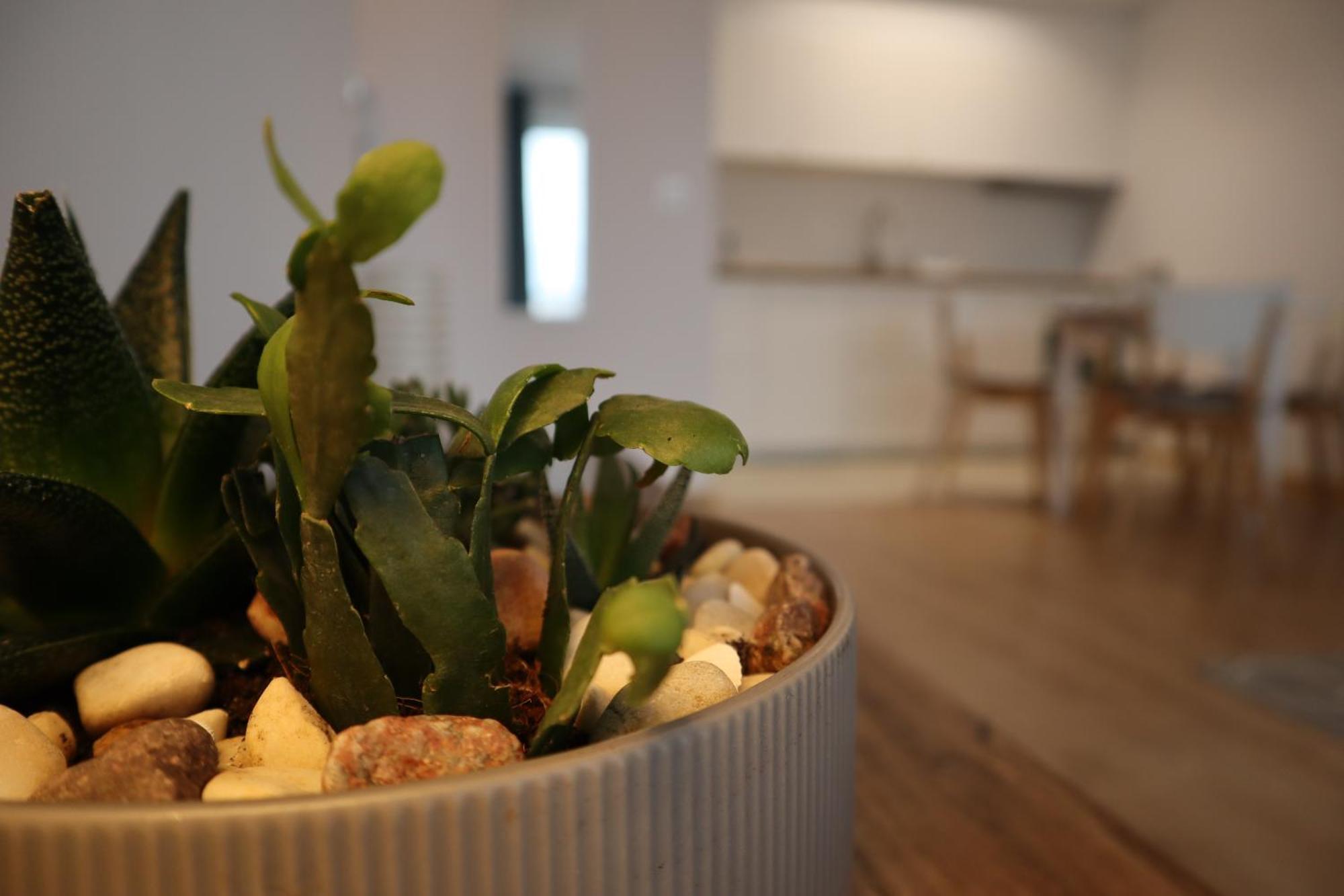 Apartament Na Ptasiej Gdańsk Exteriör bild